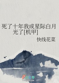 ����ʮ���ҳ��Ǽʰ��¹���[����]