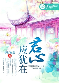 ����Ӧ����