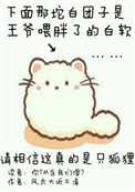 ��β�ʹ�������