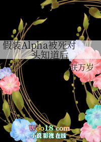 ��װAlpha������ͷ֪����