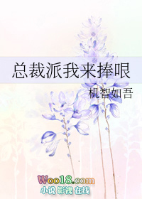 �ܲ�����������