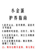 С�𵰻���ָ��