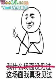 ����Ӣ���ݷ����ͽ