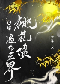 �ҵ��һ�ծ�鲼����/�ۼ�����̸����