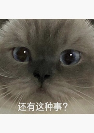 ������ǿ�������ĺ�һ��
