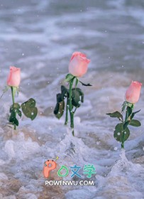 ��Ҳ��ҮҮҮ