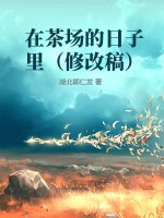 �ڲ賡��������