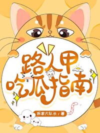 ·�˼׳Թ�ָ��