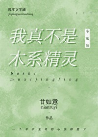 ���治��ľϵ����